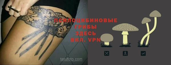 твердый Осинники