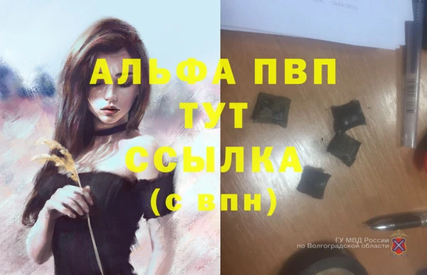 твердый Осинники