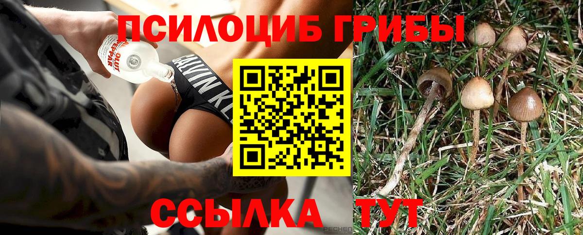 Псилоцибиновые грибы мухоморы  Псилоцибиновые грибы Psilocybe  Вход с VPN  Югорск 