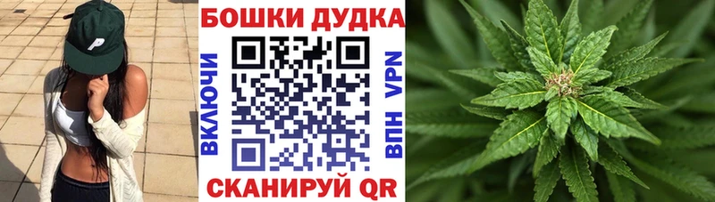 Шишки марихуана OG Kush  магазин продажи   Югорск 